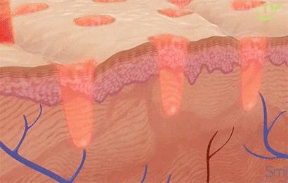 <html>
<head><title>502BadGateway</title></head>
<body>
<center><h1>502BadGateway</h1></center>
<hr><center>nginx</center>
</body>
</html>
<!--apaddingtodisableMSIEandChromefriendlyerrorpage-->
<!--apaddingtodisableMSIEandChromefriendlyerrorpage-->
<!--apaddingtodisableMSIEandChromefriendlyerrorpage-->
<!--apaddingtodisableMSIEandChromefriendlyerrorpage-->
<!--apaddingtodisableMSIEandChromefriendlyerrorpage-->
<!--apaddingtodisableMSIEandChromefriendlyerrorpage-->
