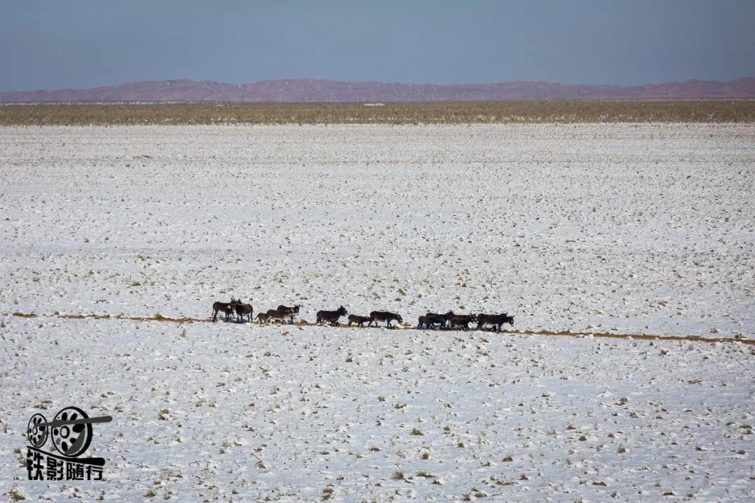 铁影｜穿越沙漠的“混编列车”——吉兰泰铁路运转记