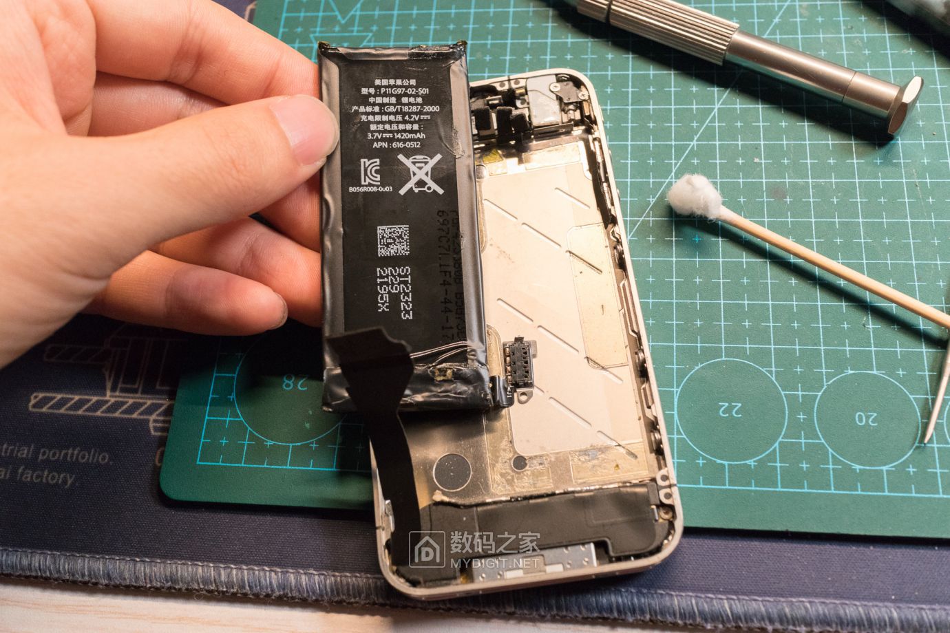 把未拆封的iphone4做成标本,iphone4被做成标本