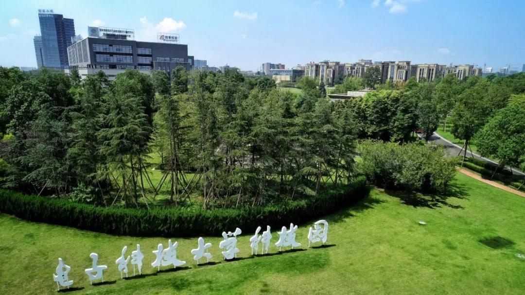 成都各区上半年经济成绩单,2023年半年报增长排行榜