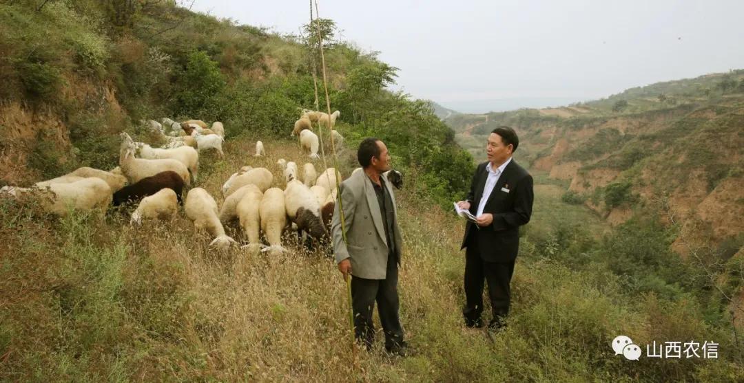 运城日报头条新闻,运城日报最新报道