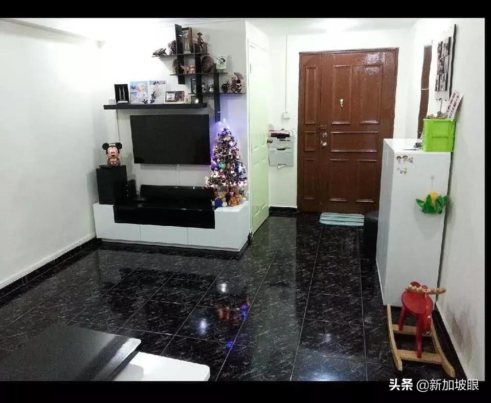 2024年新加坡租房攻略终极指南,新加坡最新租房价格