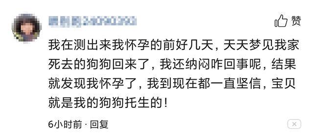 孕妇做什么胎梦预示是女孩,孕妇胎梦哪些预示孩子聪明或健康