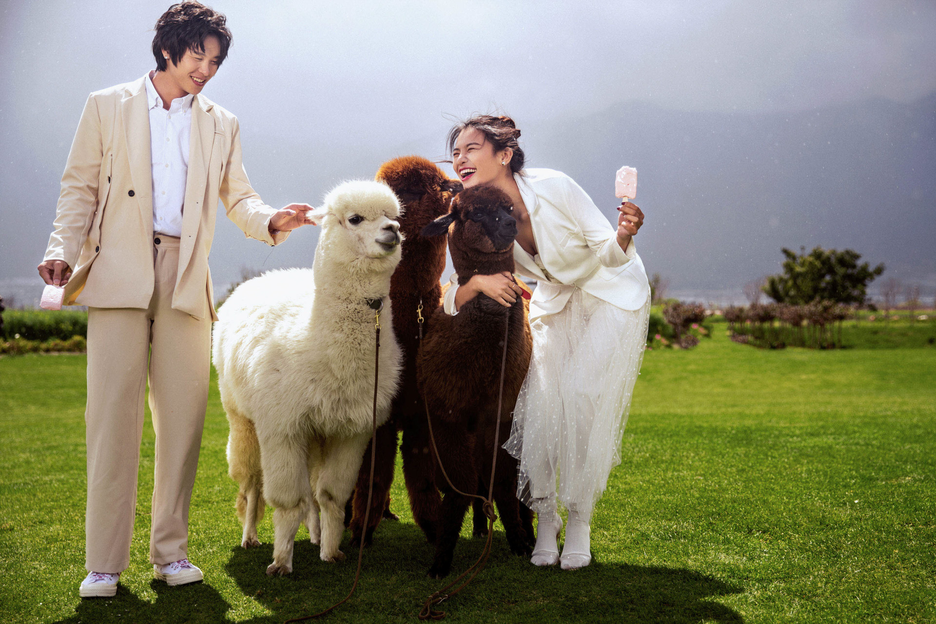 大理旅拍婚纱照前十名,云南大理旅拍婚纱工作室推荐报价