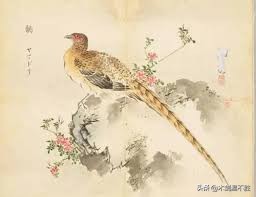 鸟为图腾的民族,商周朝为何以鸟为图腾