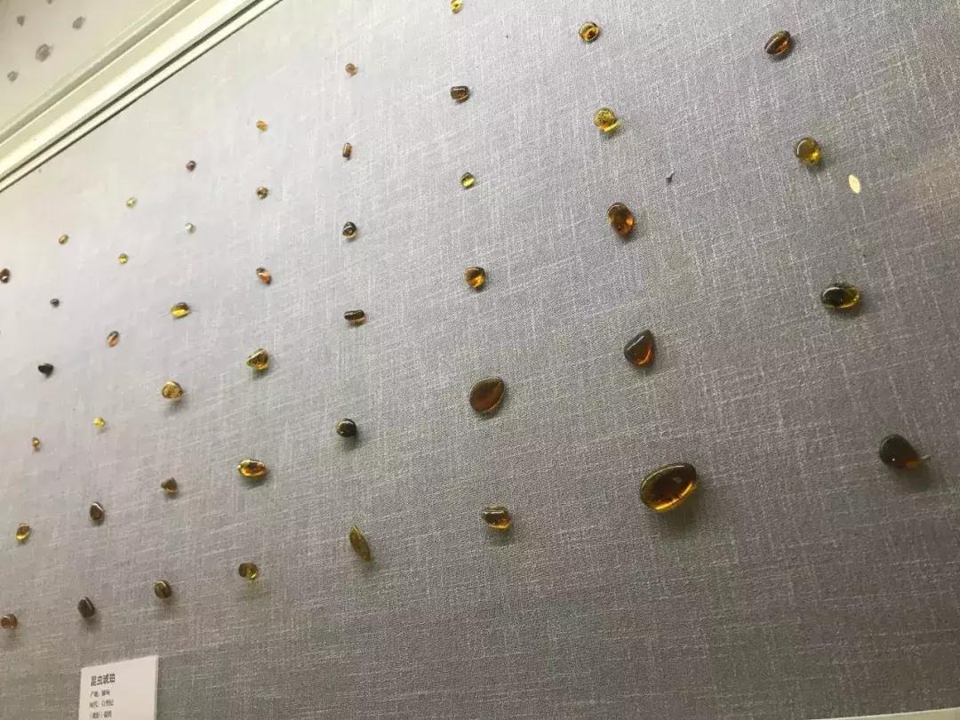 天津哪几个博物馆一定要去,必去天津各大博物馆