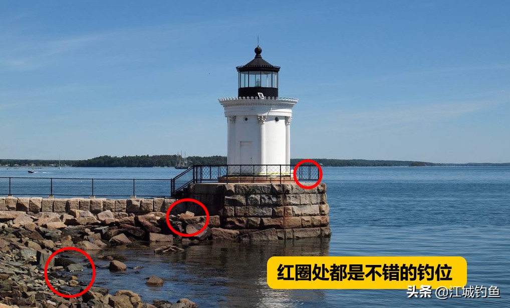 没有攻击性的雀鲷鱼,雀鲷鱼很凶猛吗