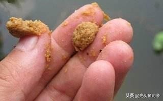 初夏野钓鲫鱼七星漂,初夏野钓钓鲫鱼