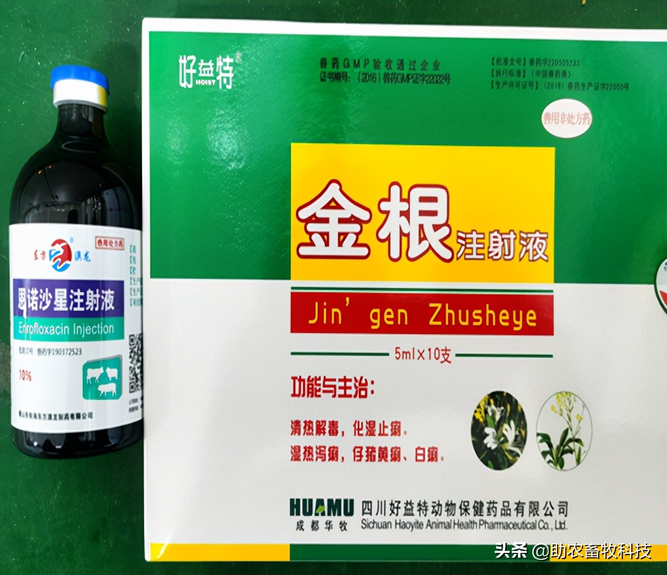 猪场10种常见疾病的症状以及用药防治方案