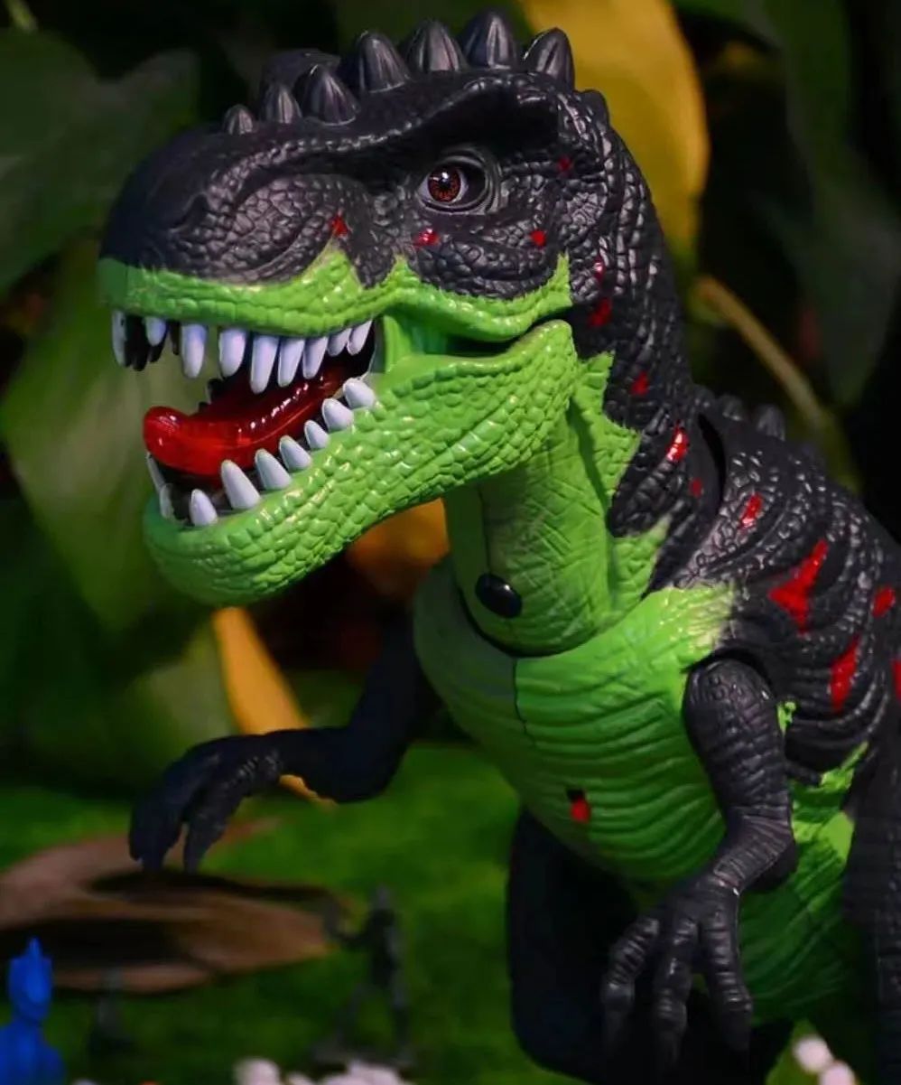 我收藏的宝贝,我收藏的宝贝硬币作文400字