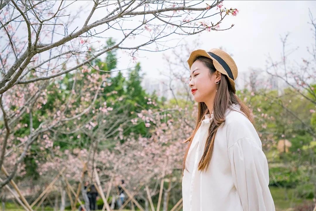 2021深圳免费适合遛娃玩地方排名,深圳免费游玩景点推荐