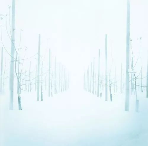 张晓风的介绍,张晓风最经典语录