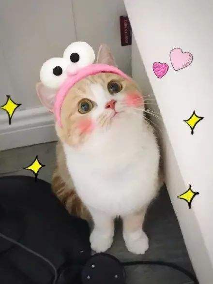 茶叶加盐加醋洗脸的功效,长期用茶叶水洗脸的危害