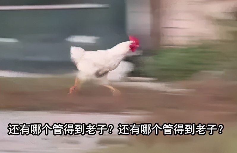 冬季续命神器不止是小暖炉，这10个面霜好用到我想给丁真安利.