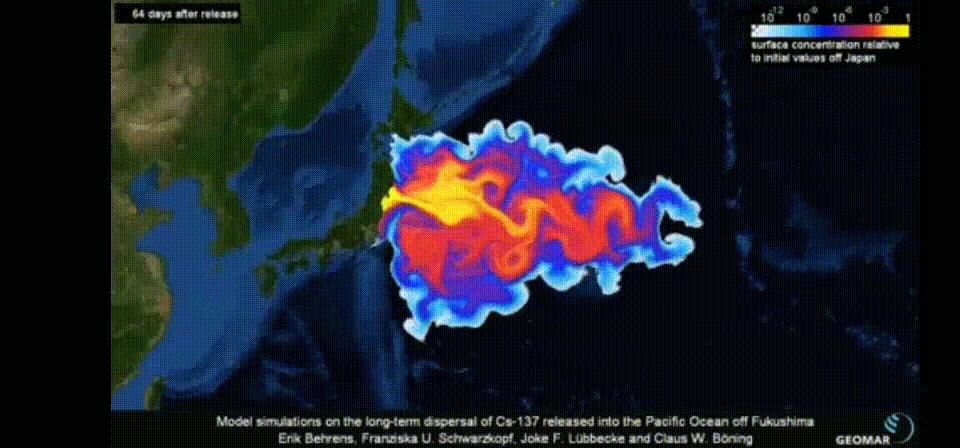 福岛核泄漏后变异生物照片,日本福岛核泄漏生物变异