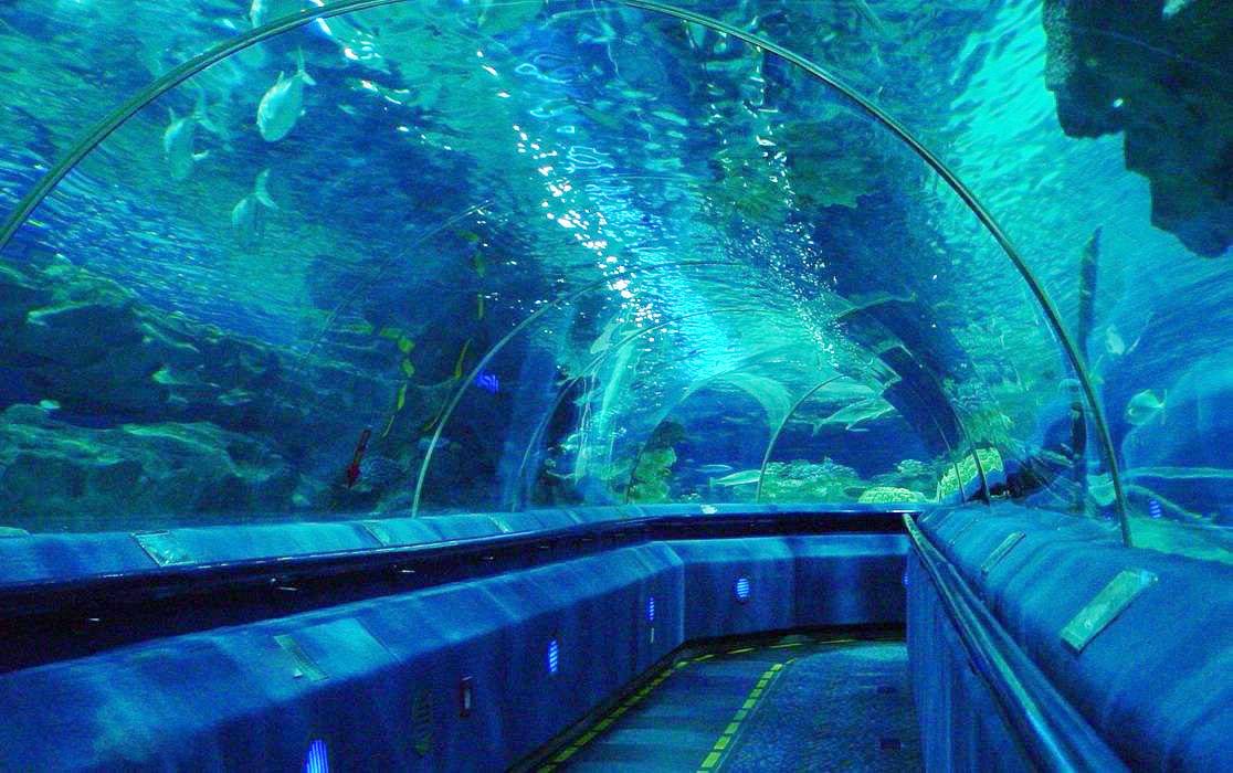 来北京看海，这三个地方都能实现，你会去哪个？