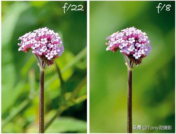 摄影后期如何打造浅景深,摄影基础知识与理解