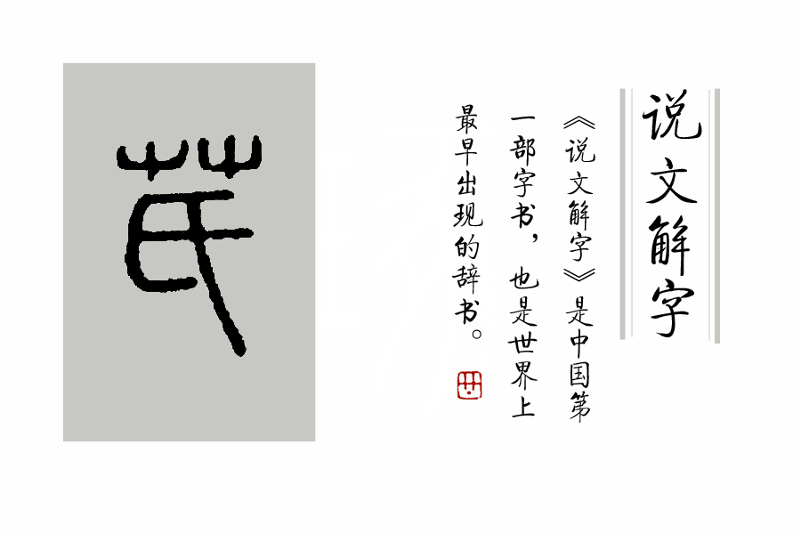 《说文解字》第72课：古文字里的“扫帚菜”？