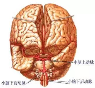 脑萎缩如何防止与治疗,长期不良情绪会导致脑萎缩