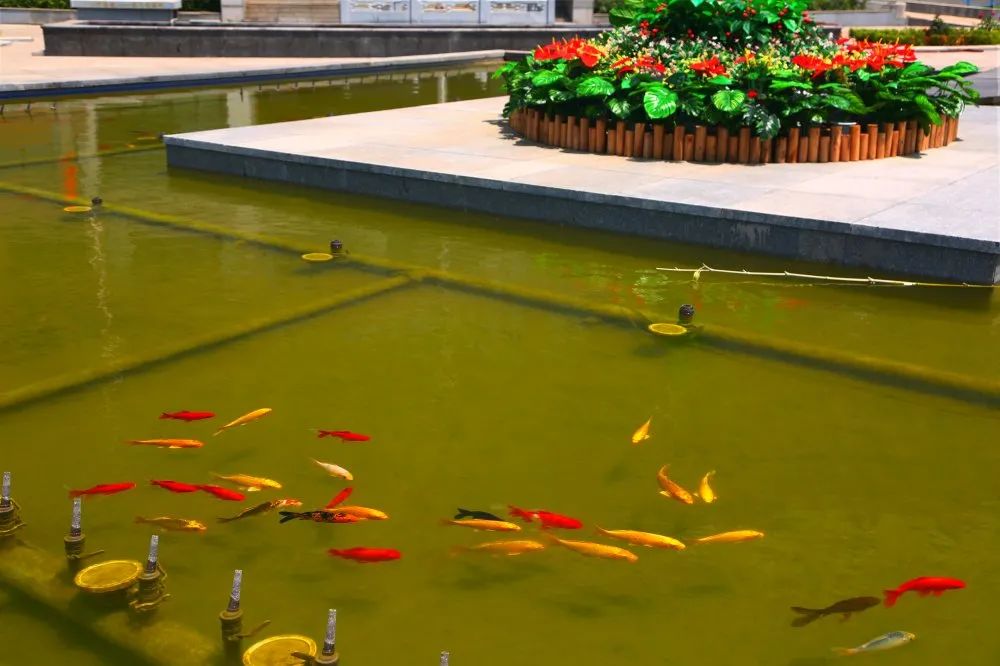 邯郸职业技术学院2022高考,2022邯郸职业技术学院高考