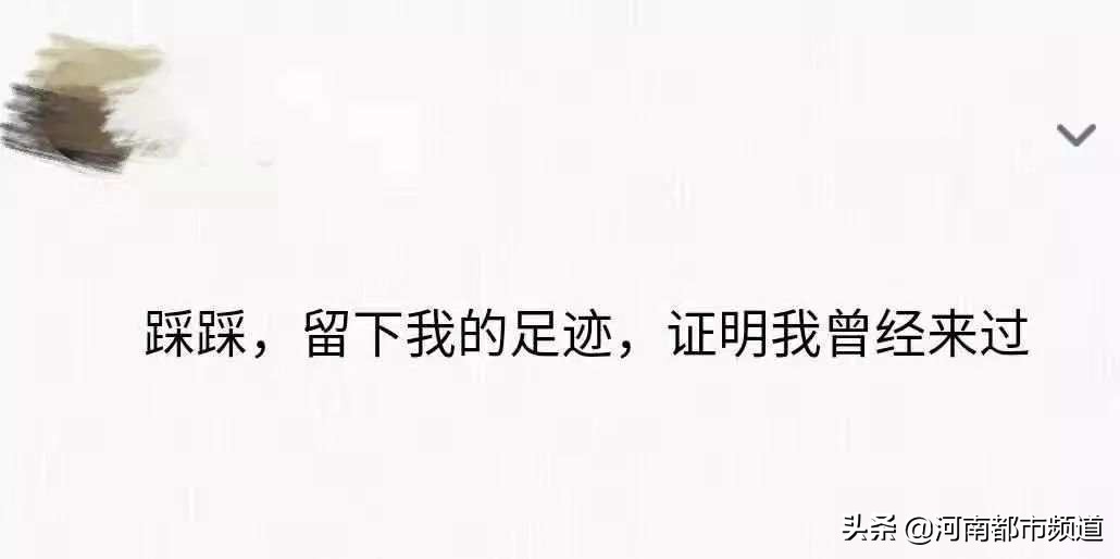 打开QQ帐号注销来了！但第一批尝试的人已经放弃了……