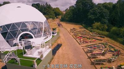 这也能拍出花?网飞又开挂了,每集都让我惊掉下巴