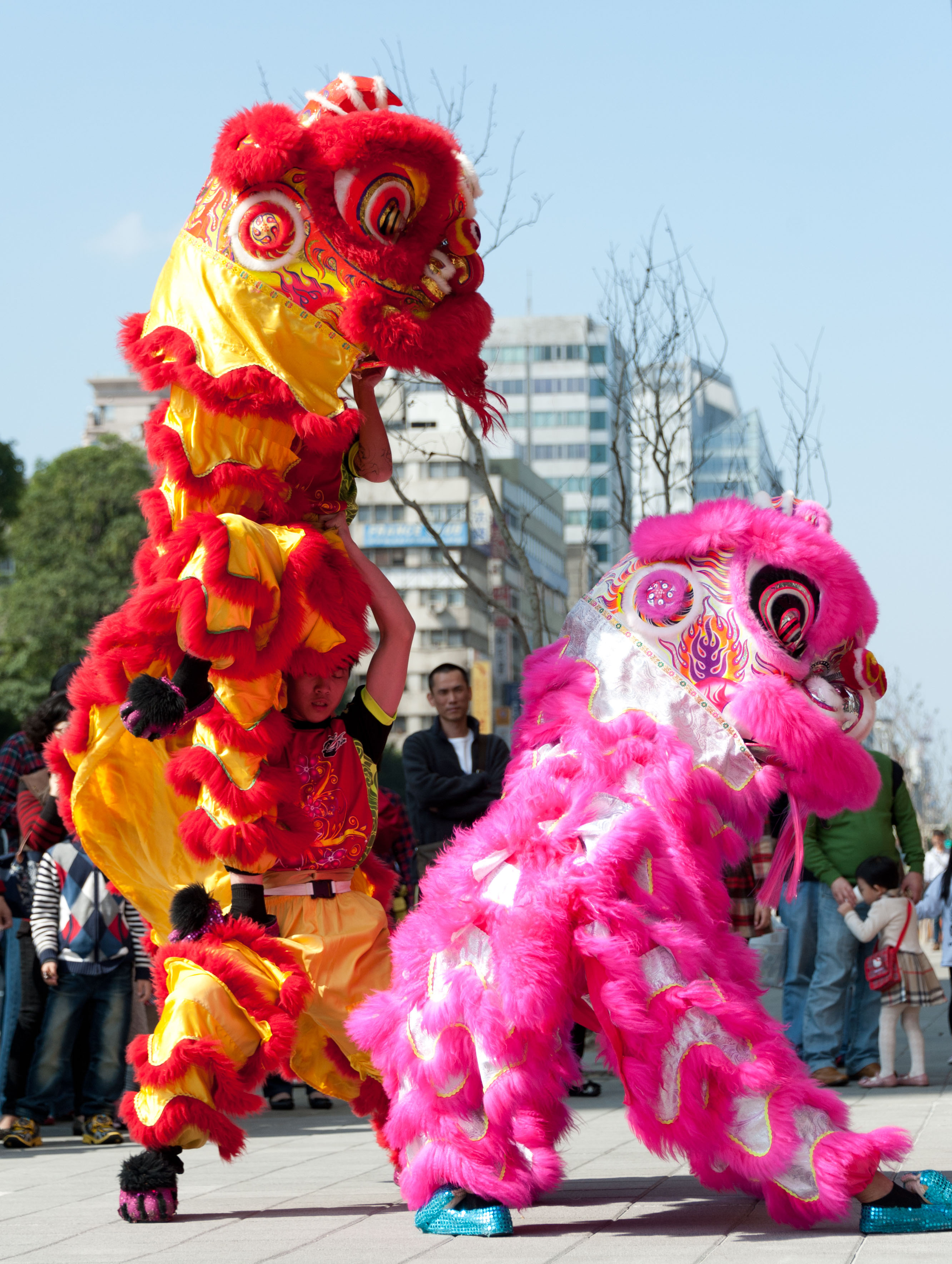 年年过年都会看到舞狮,但全套舞狮表演再也看不到,已失传了吗?