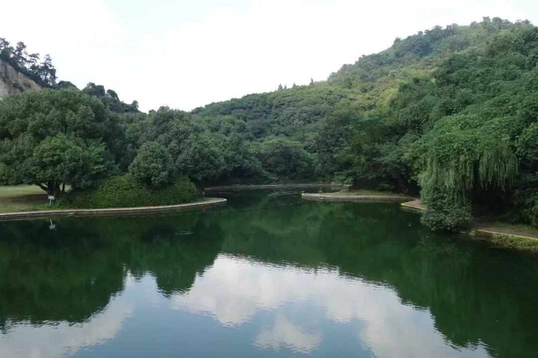 鲁迅笔下的鲁镇是什么样的地方,鲁迅小说中的鲁镇是个怎样的地方