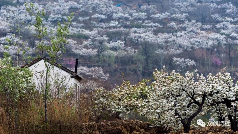 璇楃ぞ閲囬娲诲姩,浼楀垱璇楃ぞ涓冨緥