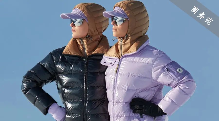 普京伊丽莎白女王,普京戴安娜王妃