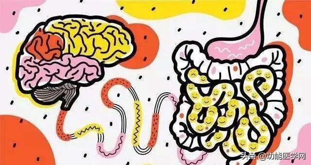 让人着迷的元素,微生物脑肠轴介绍