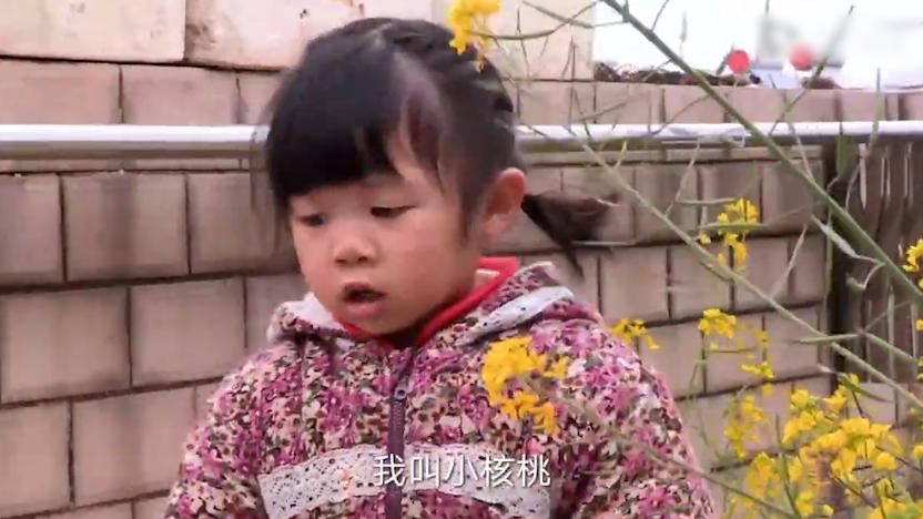 脑瘫孕妇冒险生娃完整版,脑瘫孕妇冒险生娃是第几期