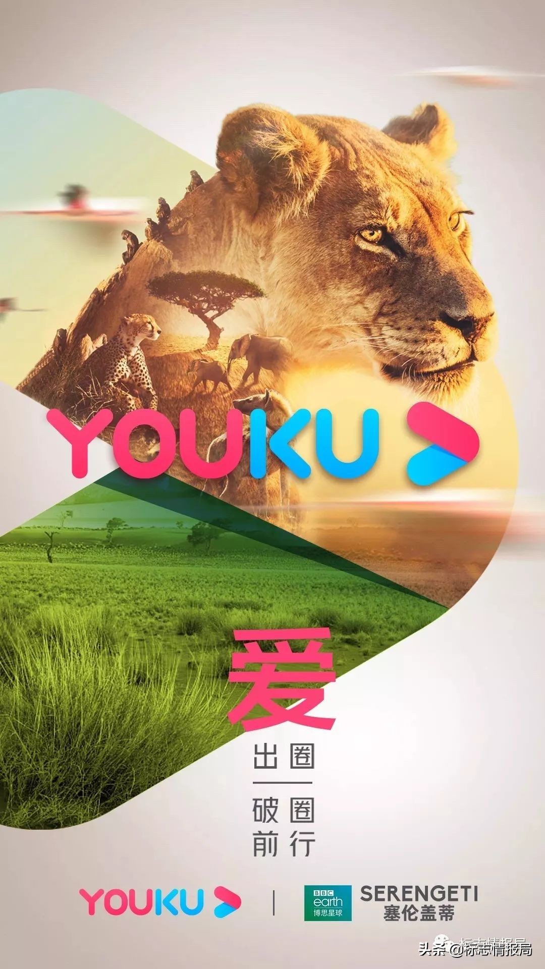 优酷改过的封面,优酷改版后破10000后还会再涨吗