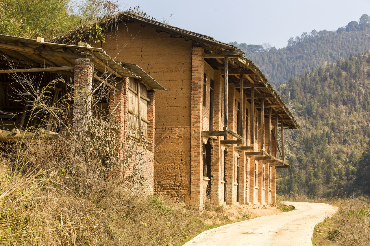 农村院子有蛇怎么解决,农村家里有蛇是什么预兆