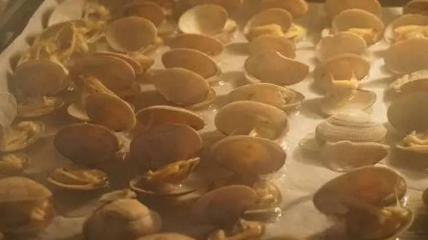 来一盆花蛤，藏不住的鲜