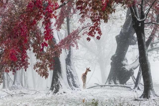 我爷爷的爷爷我该叫什么,我爷爷的爷爷的爷爷叫什么