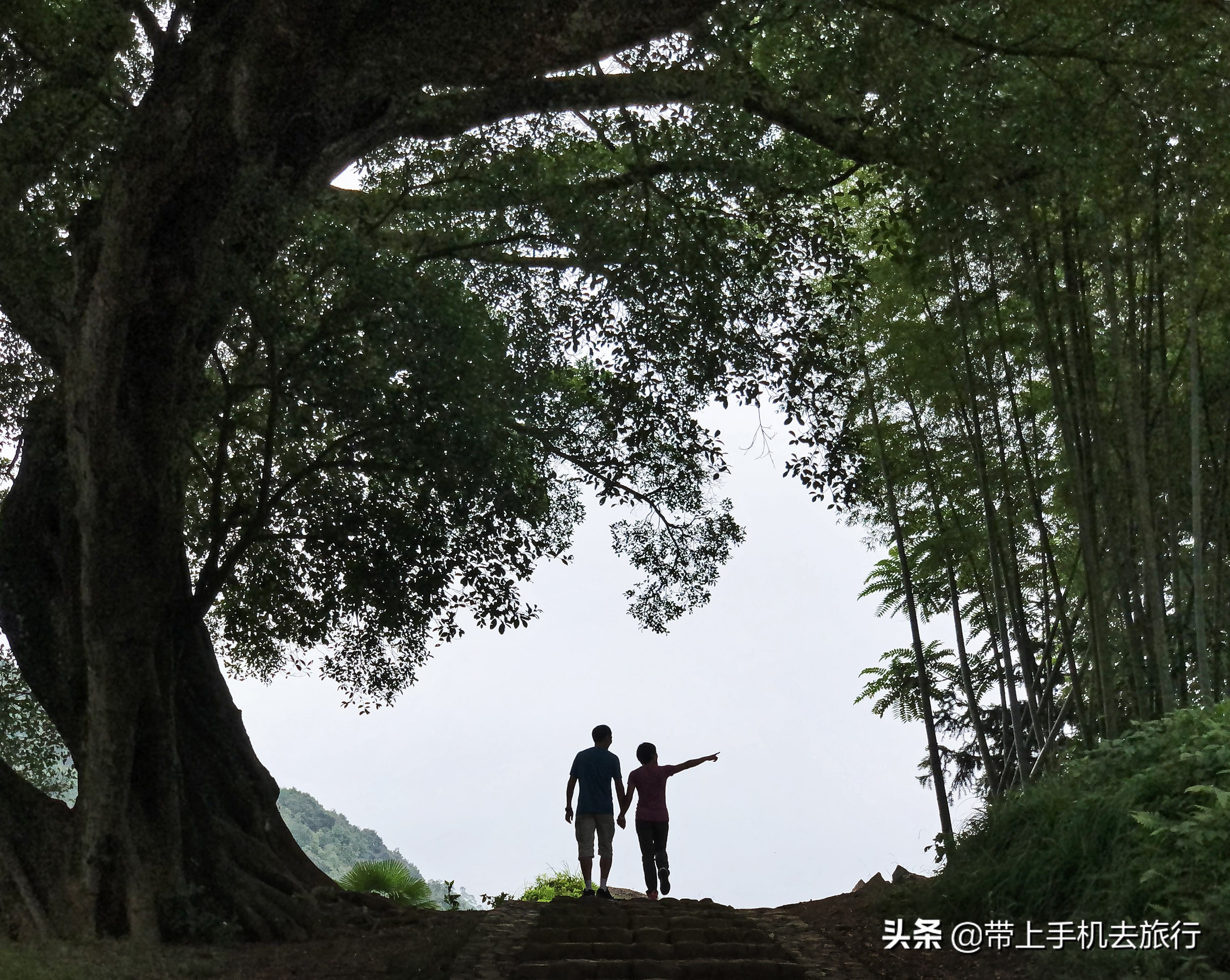 手机摄影找前景技巧,手机摄影追焦功能