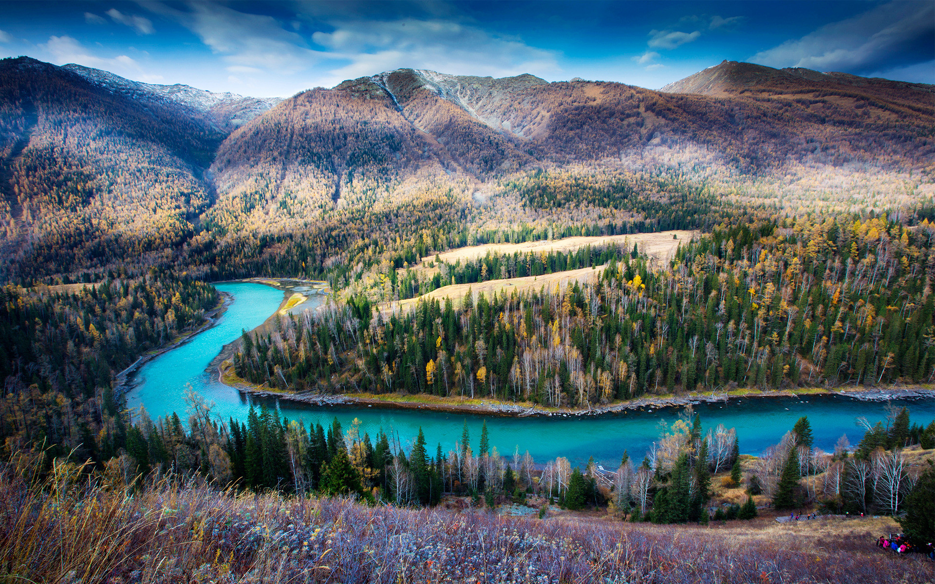 同事之间随份子多少合适,同事之间随份子的表现