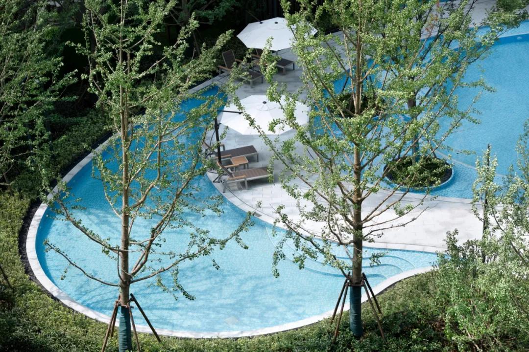 苏州仁恒园和价格暴跌,苏州仁恒园和