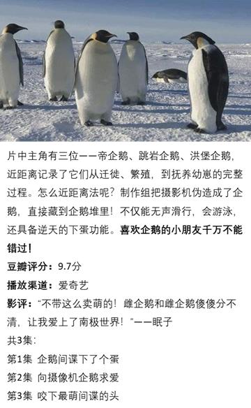 动物世界大自然野生动物纪录片,值得学生看的大自然经典纪录片