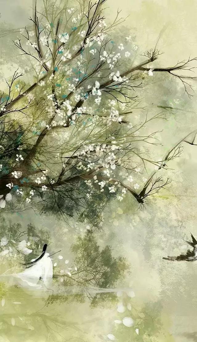 一度君华的小说在哪看,一度君华小说免费阅读