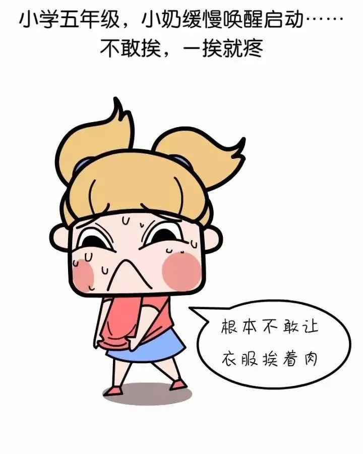 女生胸部发育知识,青春期女生胸部知识