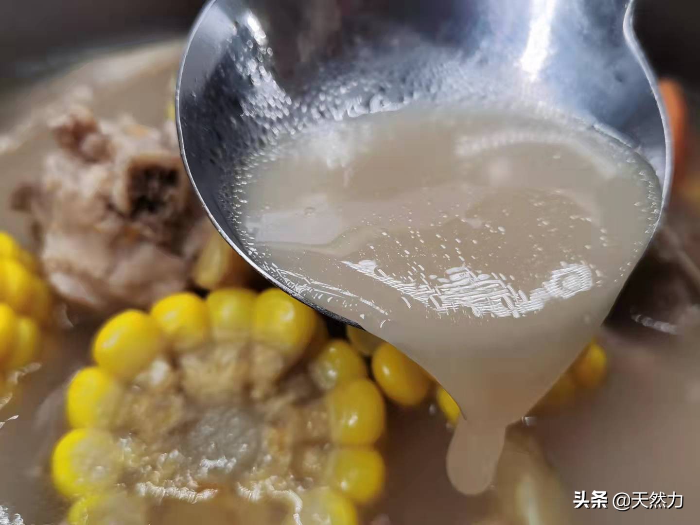 广东板栗骨头汤的做法,排骨靓汤家常煲汤大全