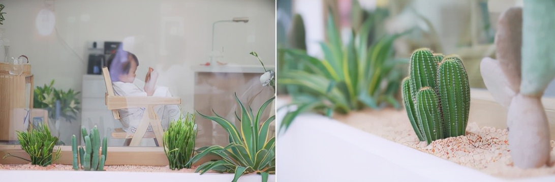 深圳网红花店推荐,人气最旺的网红花店