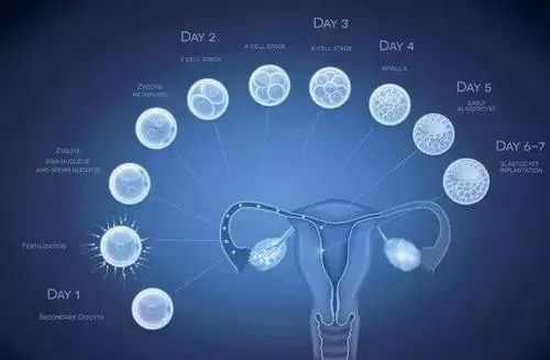 干细胞治疗卵巢早衰的权威医院,上海干细胞治疗卵巢早衰