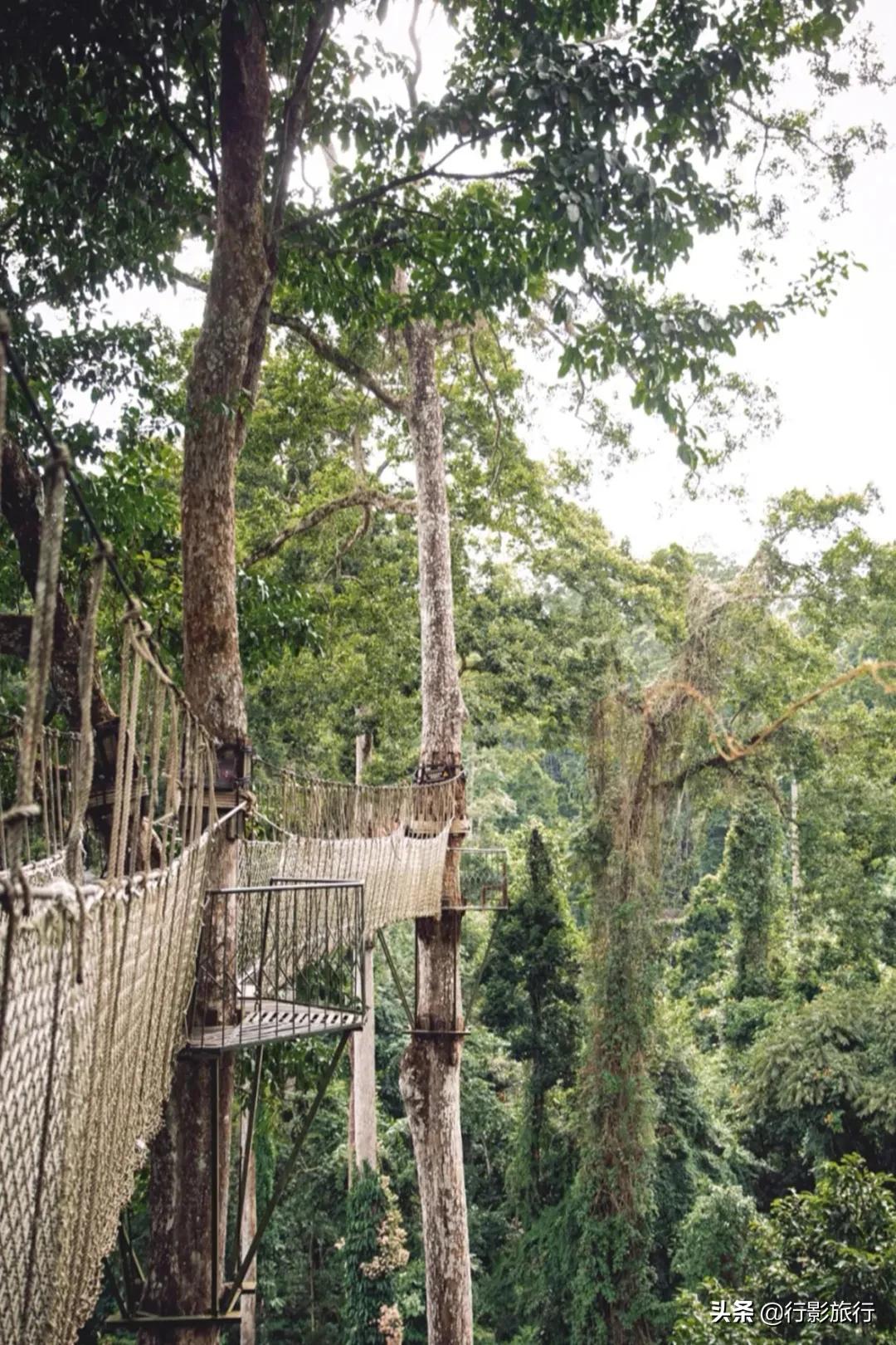 云南的西双版纳州怎么样,云南西双版纳景区怎么样