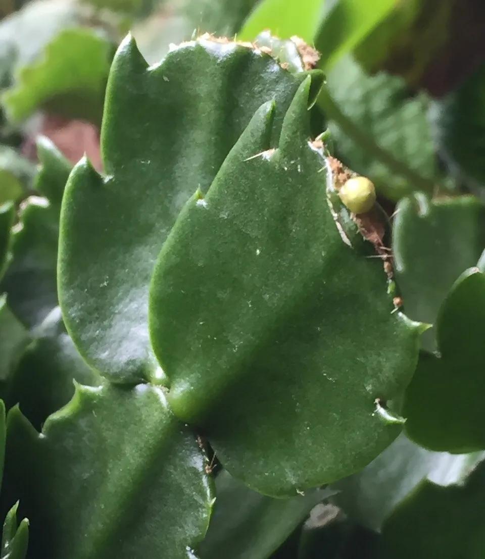 教你如何避开假货买到真品,一张图告诉你怎样分辨假货