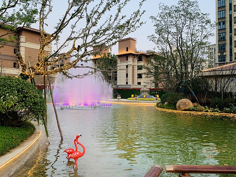 禄口最高端楼盘,未来5年禄口新楼盘