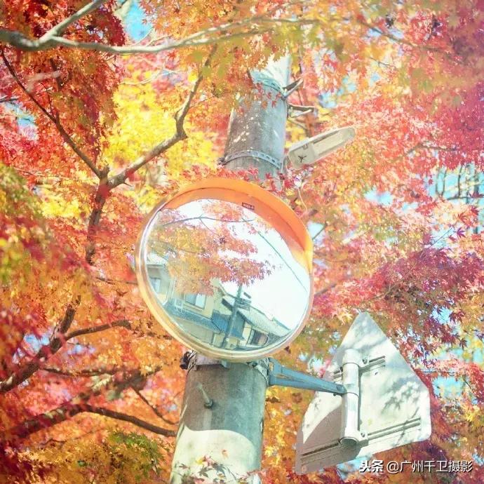 摄影必学的9种构图方法,摄影萌新必学12个构图技巧