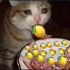 宋慧乔为何可以红这么多年,宋慧乔何穗惊艳亮相